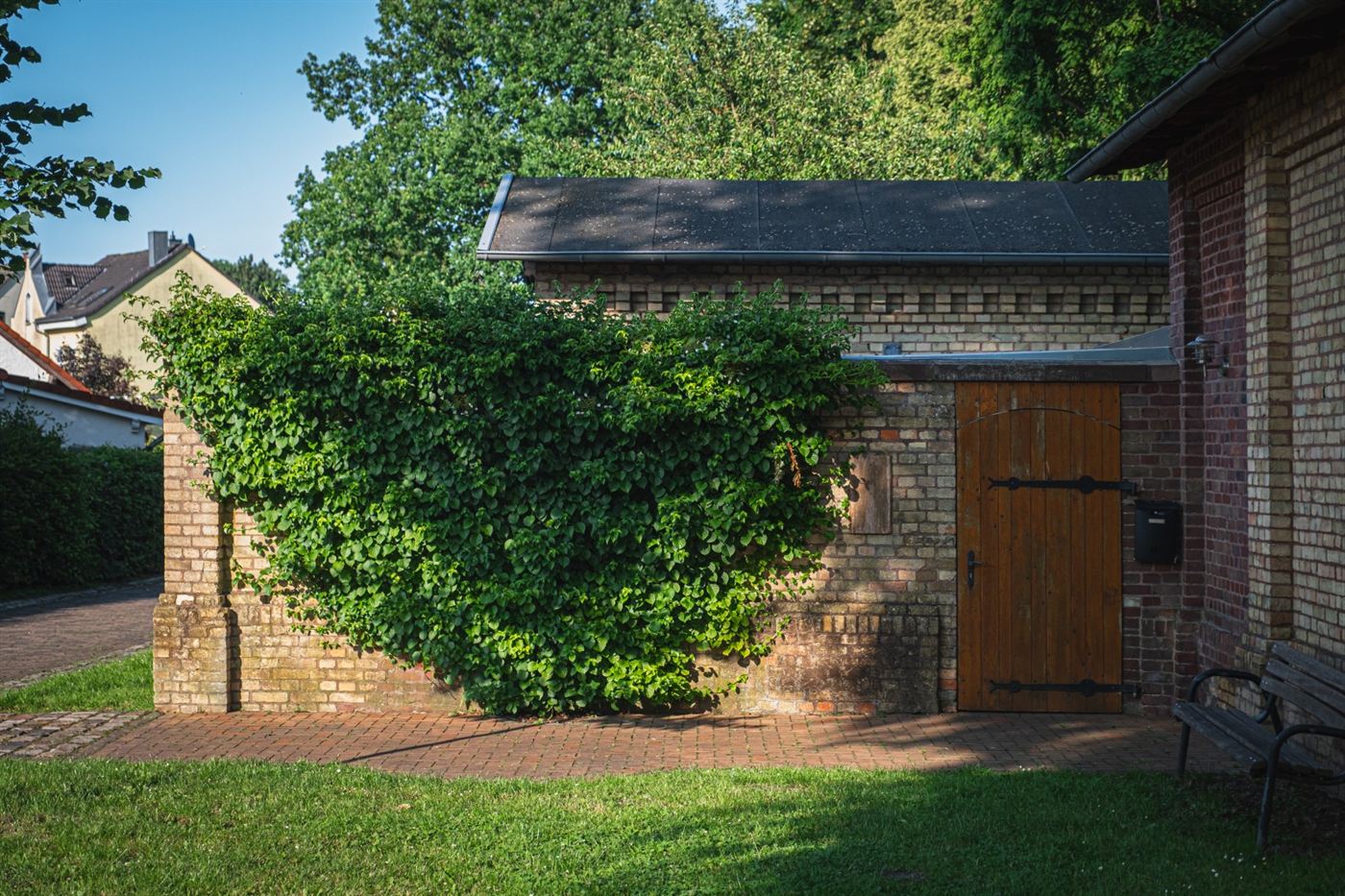 Der Eingang zum HuS mit Efeuwand