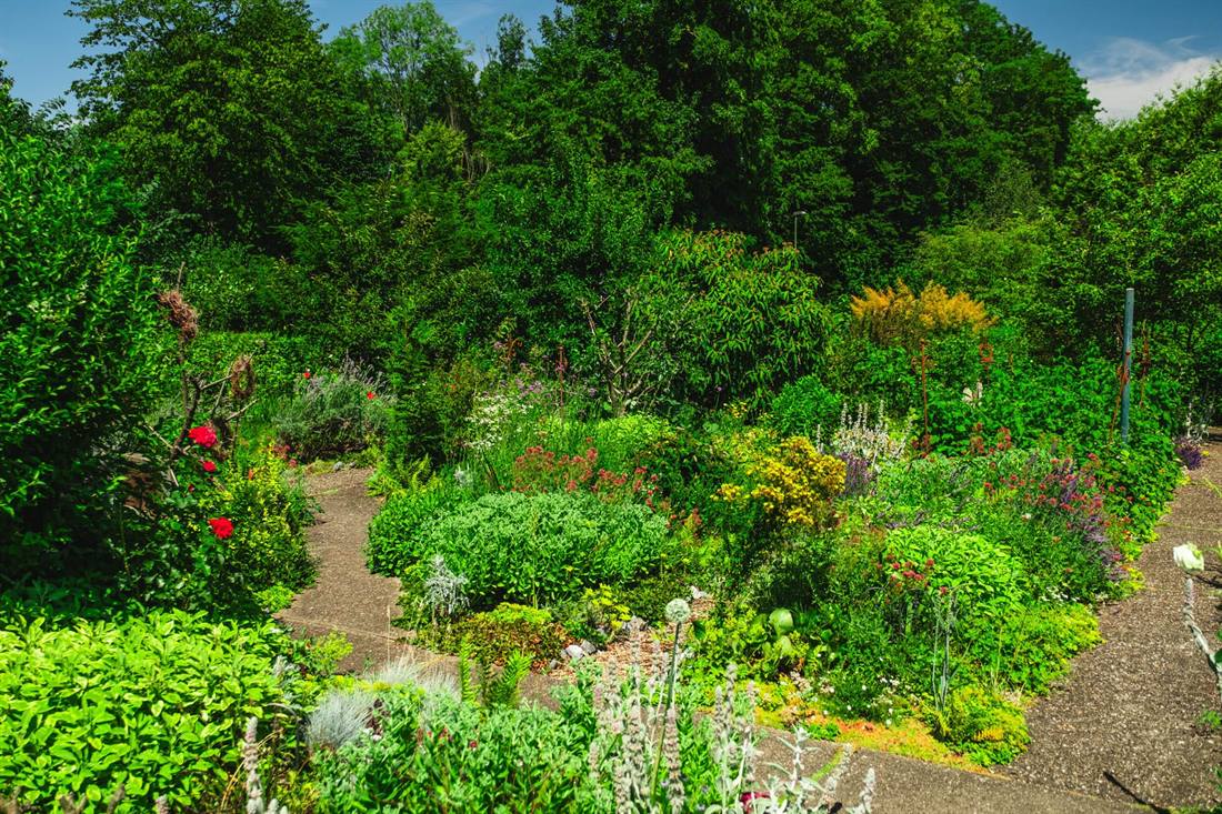Garten Bretländer, Aufnahme 3
