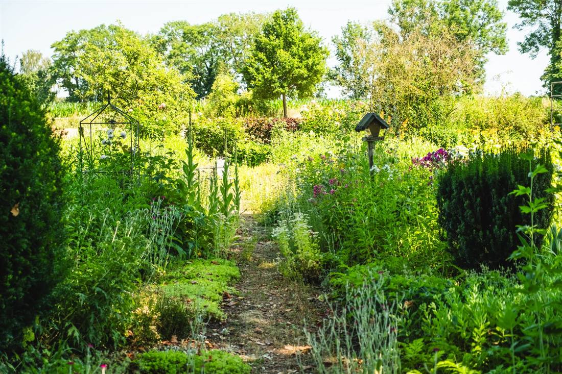 Garten Gebhard, Aufnahme 6
