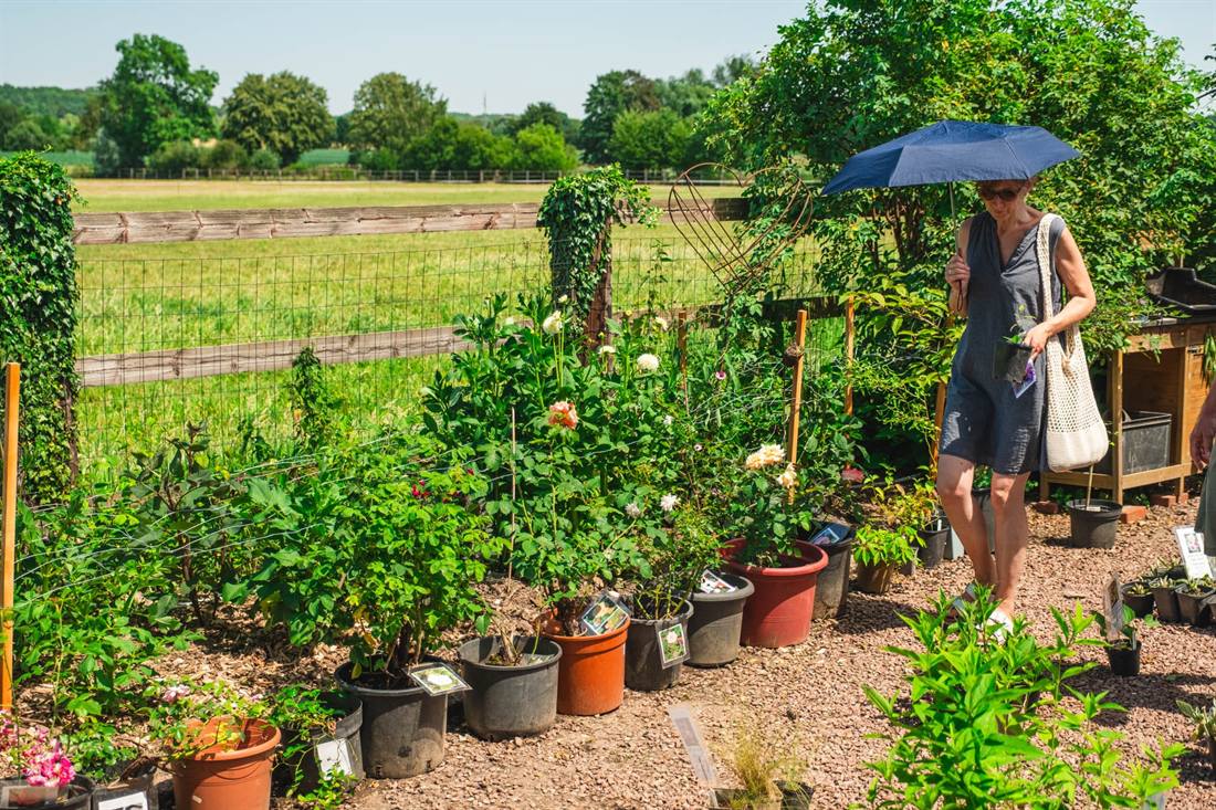 Garten Gesella und Knopp, Aufnahme 5