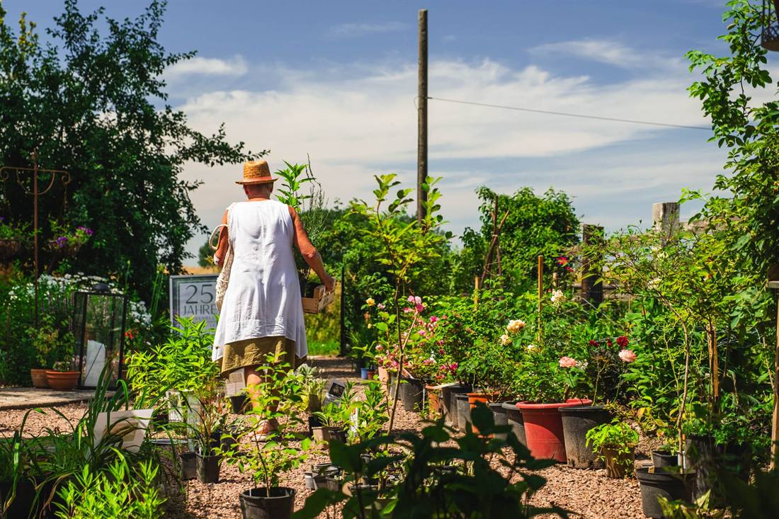 Garten Gesella und Knopp, Aufnahme 7