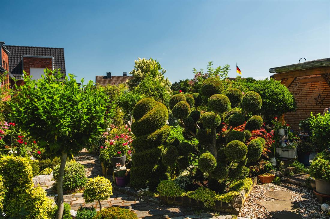 Garten Gutsch, Aufnahme 9