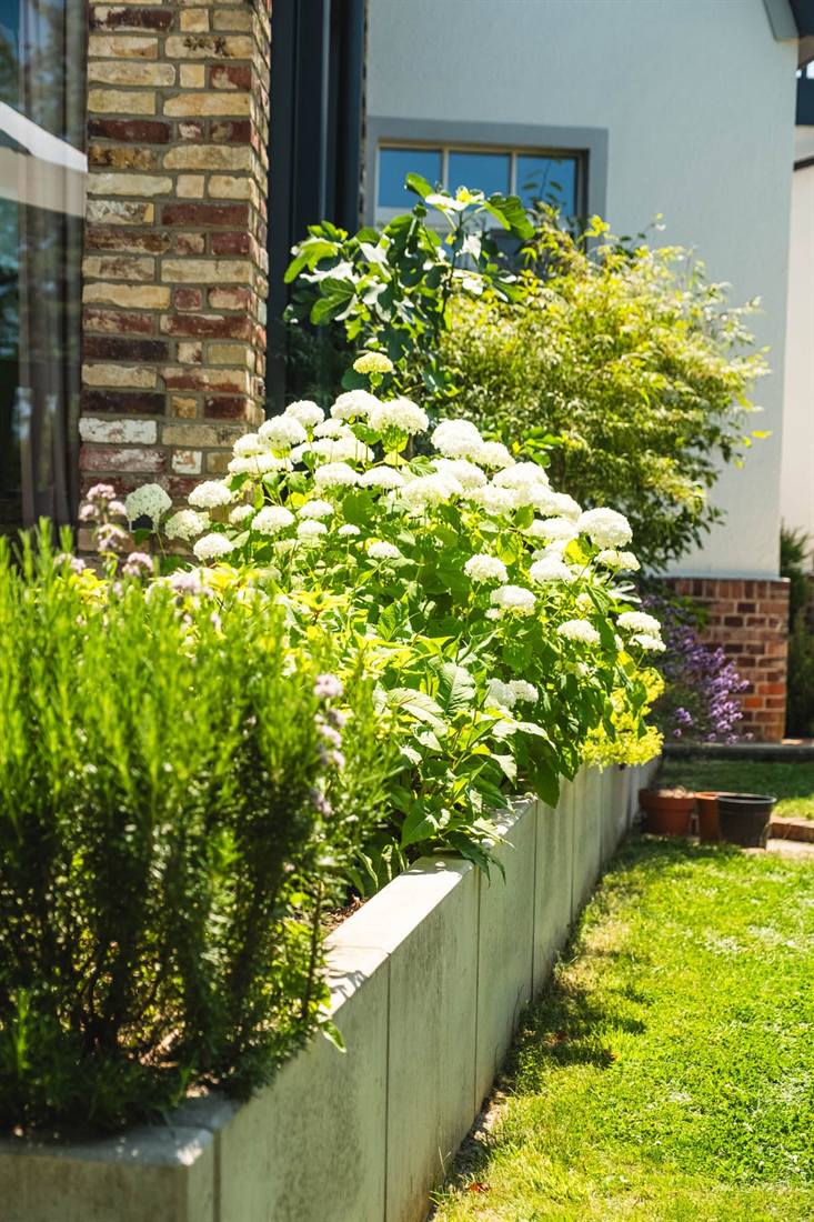 Garten Rademacher, Aufnahme 3