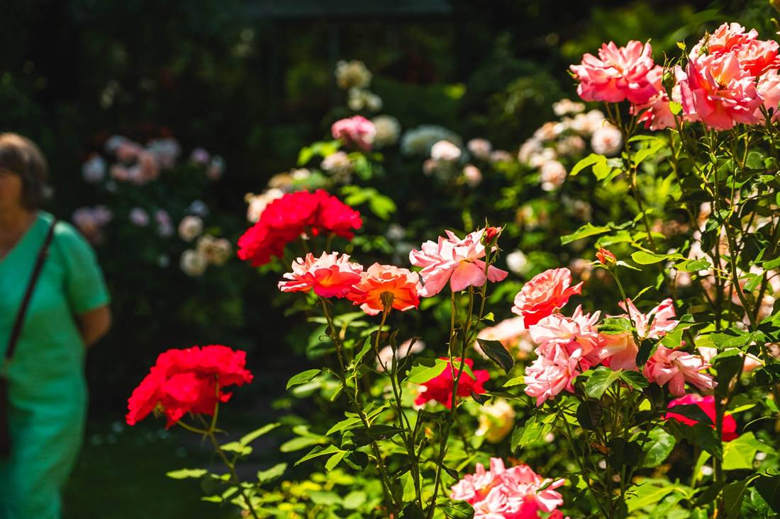 Garten Stoffel, Aufnahme 8